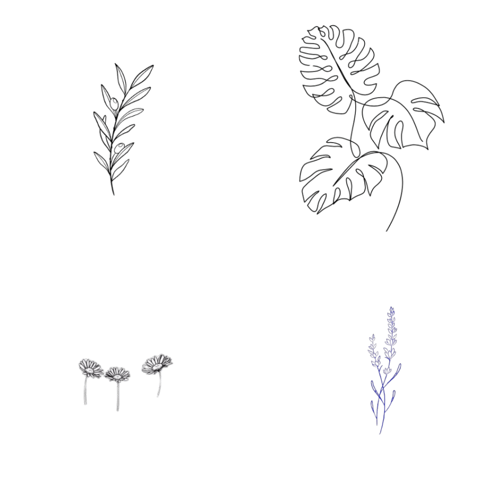 Minimalist line art of botanical plants including olive branch, monstera leaves, daisies, and lavender.