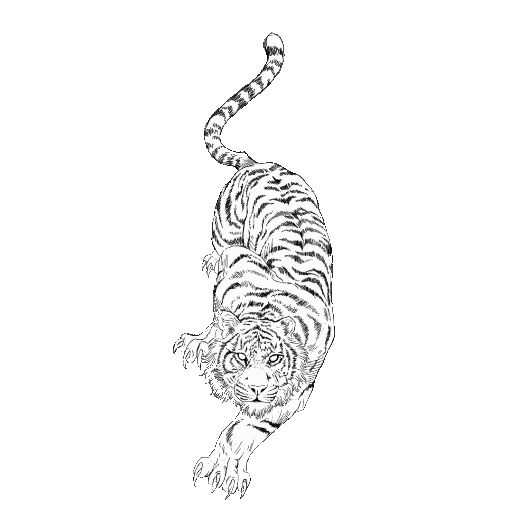 tiger tattoo design