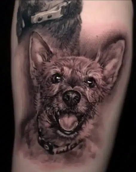 black and gray realism dog portrait tattoo of small terrier on arm