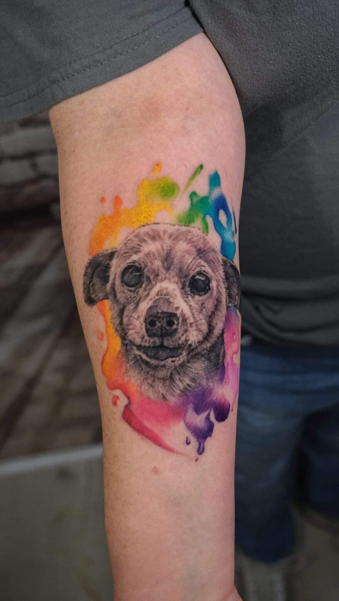 watercolor dog portrait tattoo with rainbow color splashes on forearm
