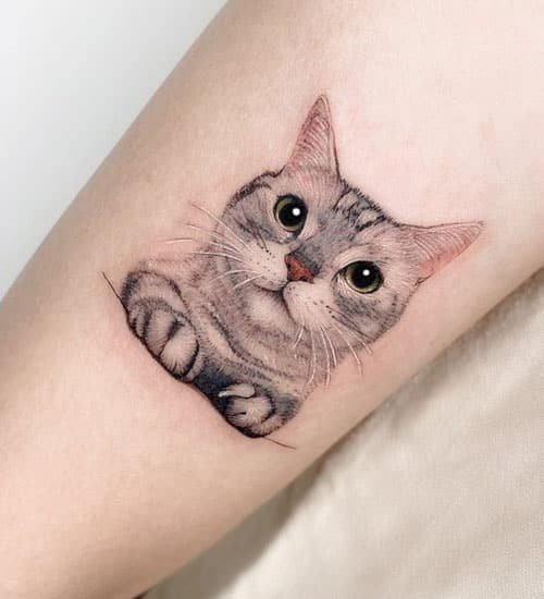 fine line cat portrait tattoo with soft shading on forearm